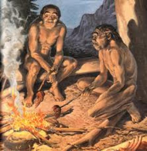 Homo erectus