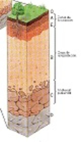 Descripciòn de perfiles de suelo
