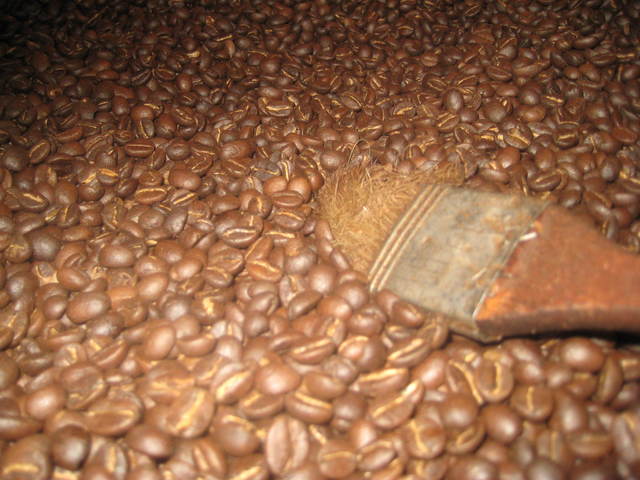 Bliver ejer af en kaffefarm i Kenya