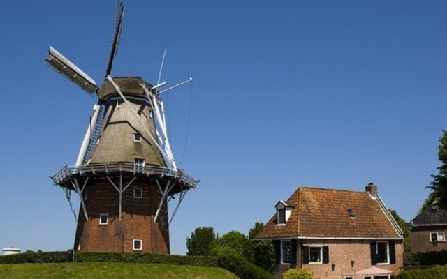 Dutch Build Windmills