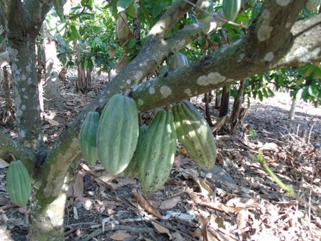 Antes de la asociatividad