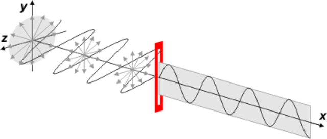 Étienne Louis Malus