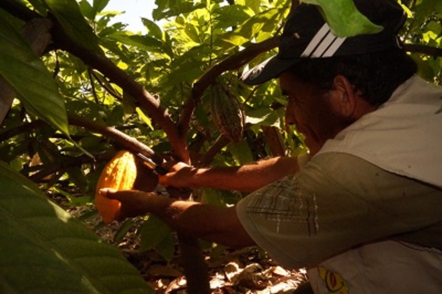 Comercialización nacional
