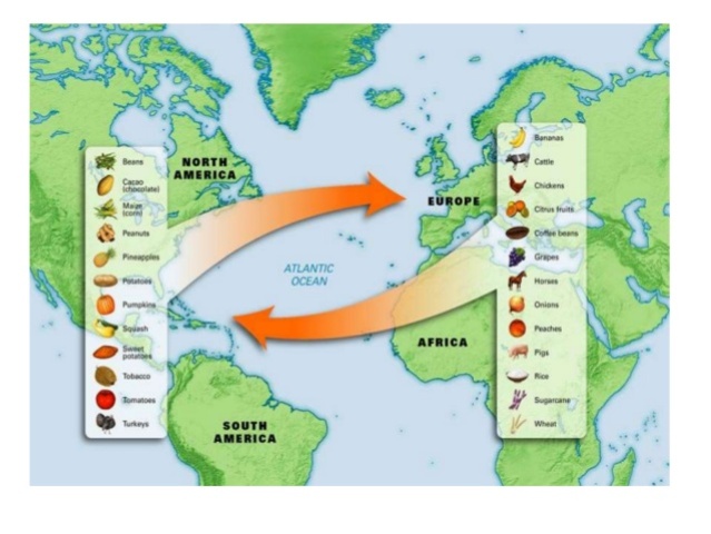 Columbian Exchange