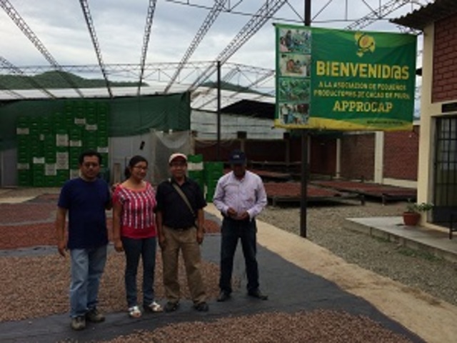 CIPCA y el Gobierno Vasco