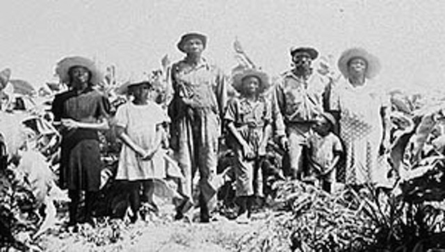 Sharecropping