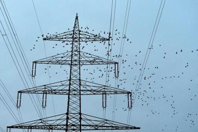 Grünes Licht für Hochspannungstrasse