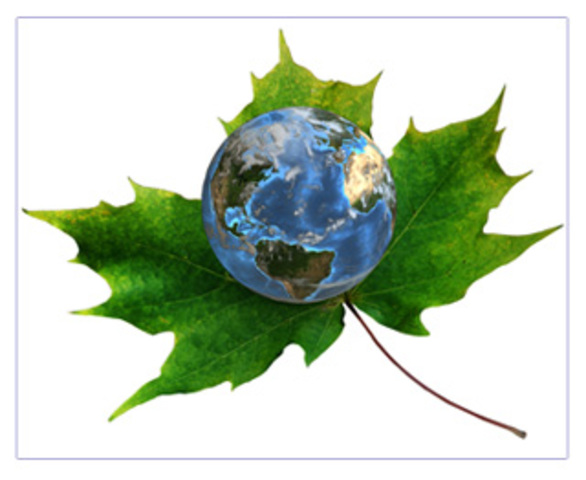 Natinal Enviromental policy act