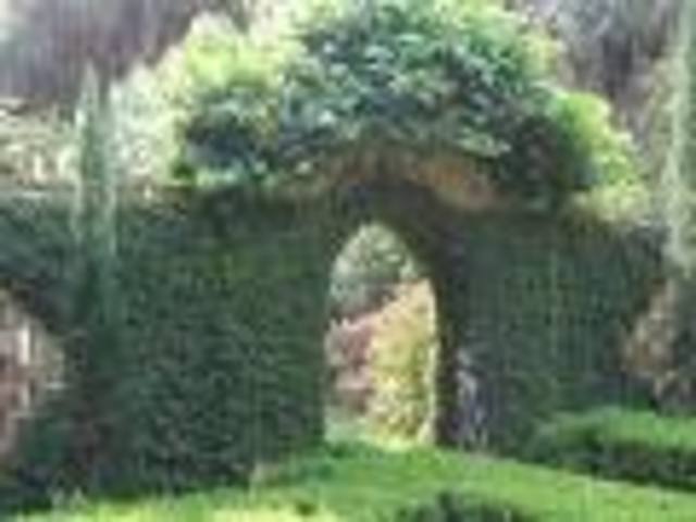 Crossing First Threshold