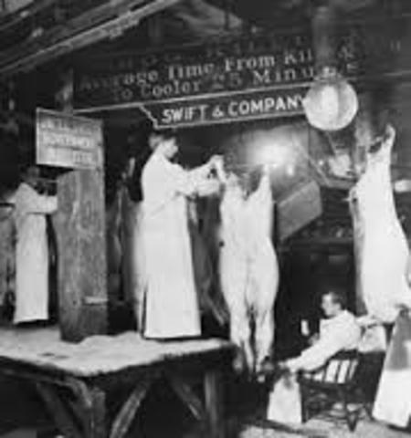 Meat Inspection Act and Pure Food and Drug Act