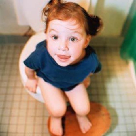 cognitive 22-24 months