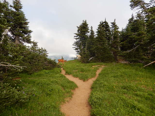 Heading off to Africa