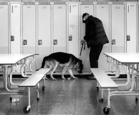 New Jersey vs. T.L.O.