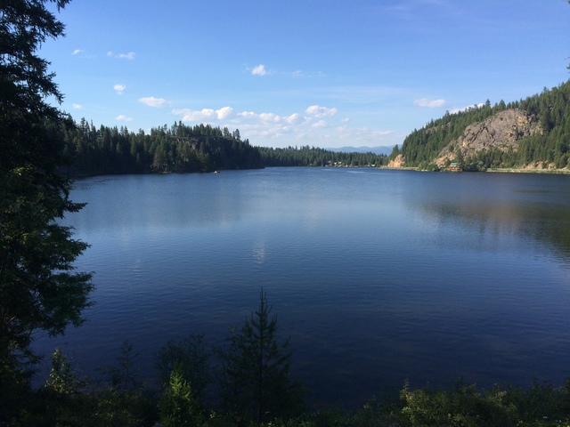 Tea House Field Form in WA