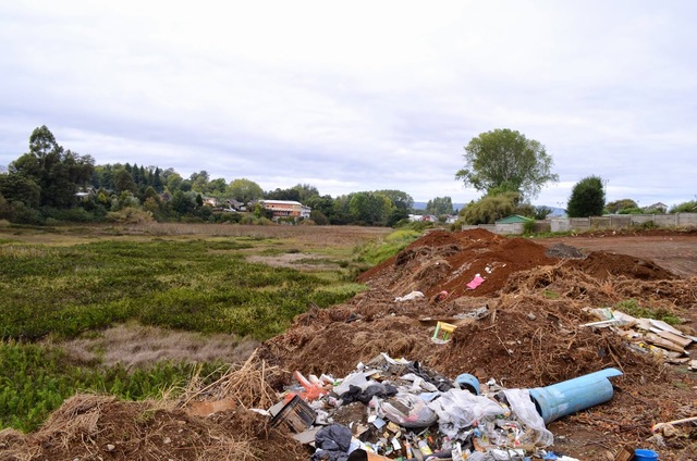 El año 2003 el santuario de la naturaleza Carlos anwanter fue contaminado por los desechos que generaba  la celulosa Arauco (CELCO)