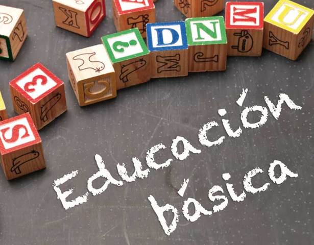 Proyecto de Reforma de la Educación