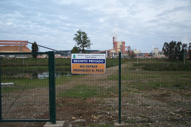 Informe de la UAch  relaciona a CELCO por la destruccion del humedal