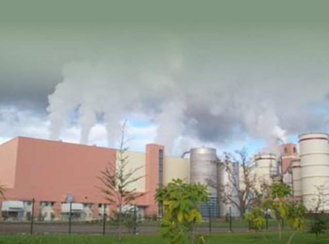 Celulosa Arauco  fue condenado a una compensacion