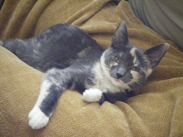 Adopted Mimi,psychosocial