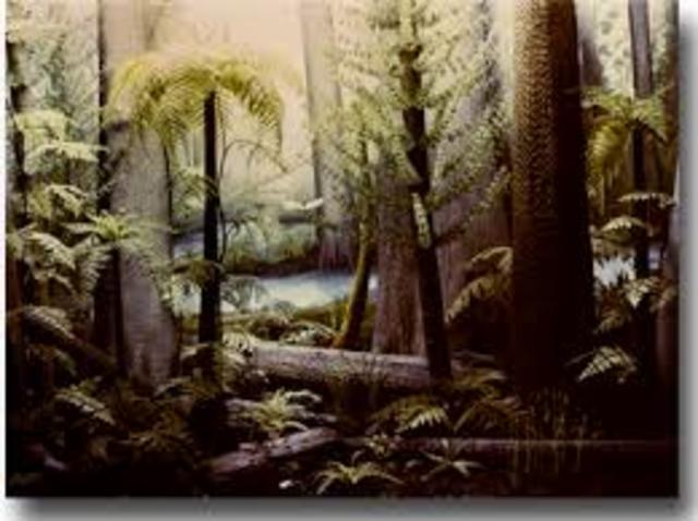 First Marine Organisms