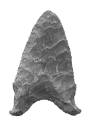 Hardaway spear point discovery site in nort carolina replaces Clovis spear piont