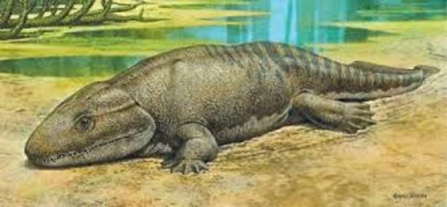 Fanerozoico/Paleozoico/Devónico