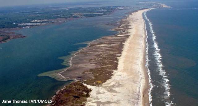 Barrier Islands