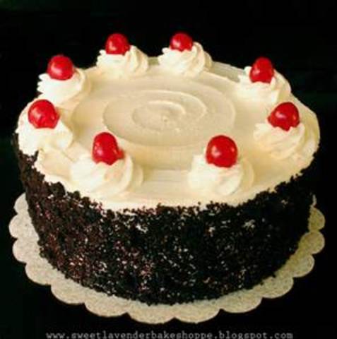 Lilly's 14th Birthday