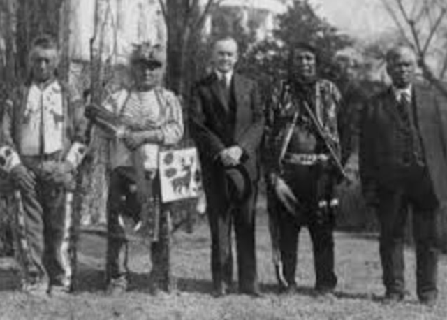 Faults in the Representative Government