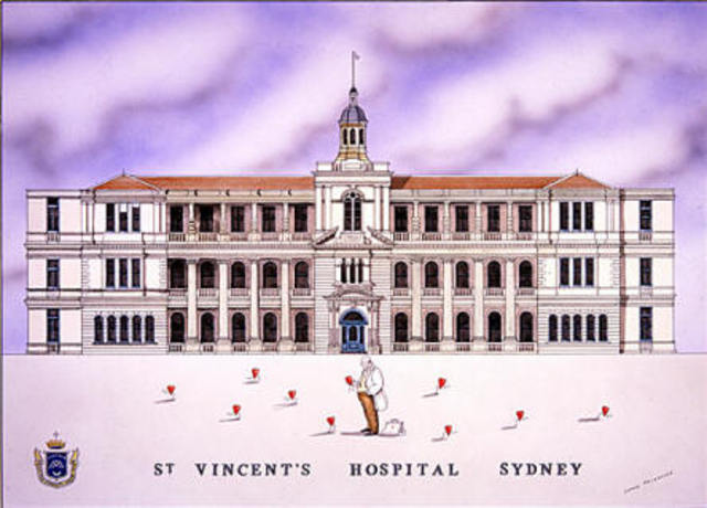 First year resident medical officer at St Vinecent's Hospital