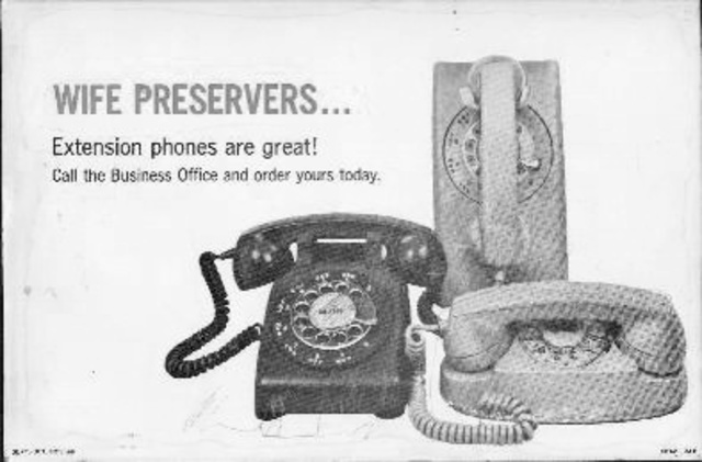 Telephone ad (how to analyze, language of ad)