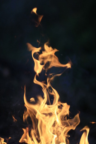 The Monsters Come out During Haloween