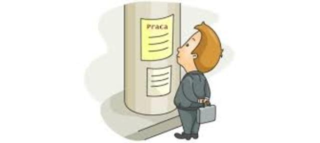 wystawa z informacjami o realizowanym projekcie na szkolnych korytarzach