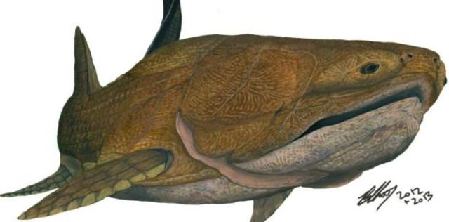 Primeros peces mandibulados