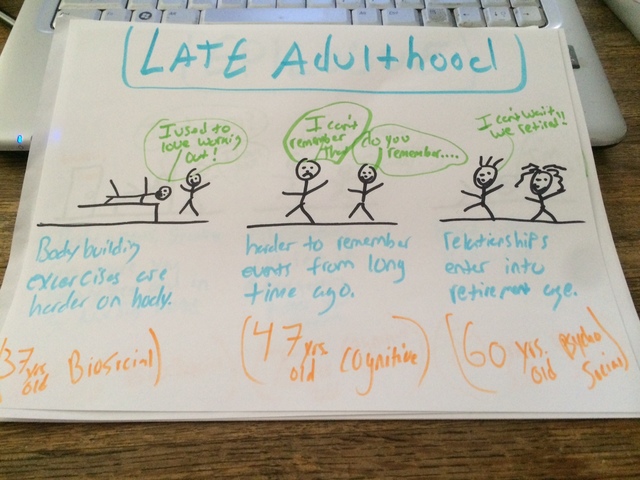 Late Adulthood