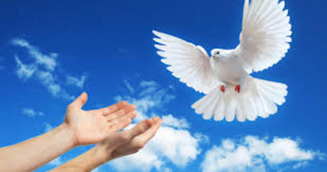 BAKEAREN EGUNA- DÍA DE LA PAZ