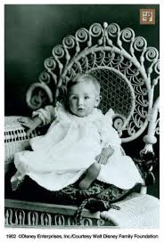 Walt Disney was born