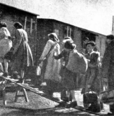 Evacuation of Auschwitz