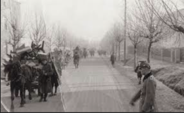 Remaining Jews  in Sosnowiec Transfered to Srodula