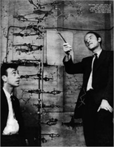 DIMOSTRAZIONE CHE IL MATERIALE GENETICO E' DNA