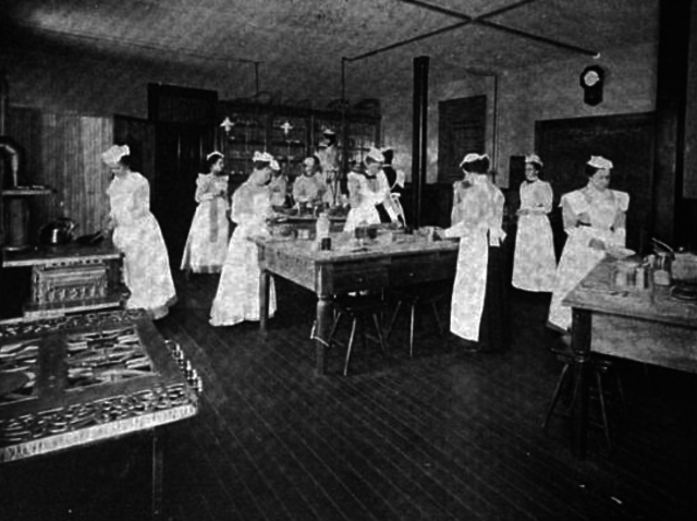 Domestic Science Introduced