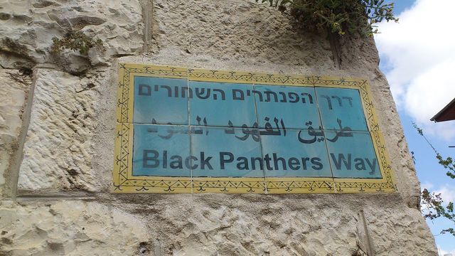 הפנתרים השחורים