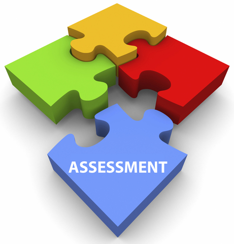 Assessment