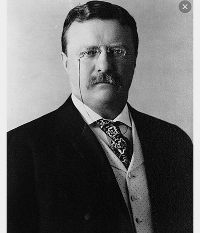 Theodore Roosevelt ones United States president election.