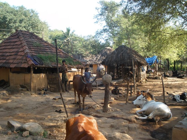 Indian Villages