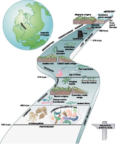 Paleozoic era
