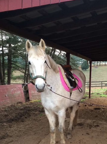 Fall off Tator and break shoulder- health insurance