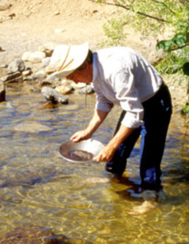 California “gold rush ”