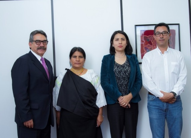 Comisión de Consulta