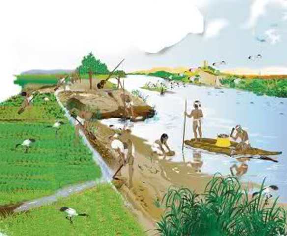 Attività: “Brainstorming e discussione: Le origini della geometria – dove cercare la geometria”.